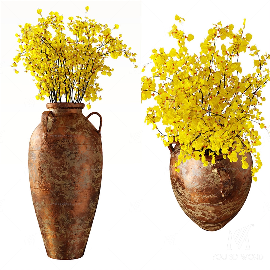 Hydria \ Oncidium